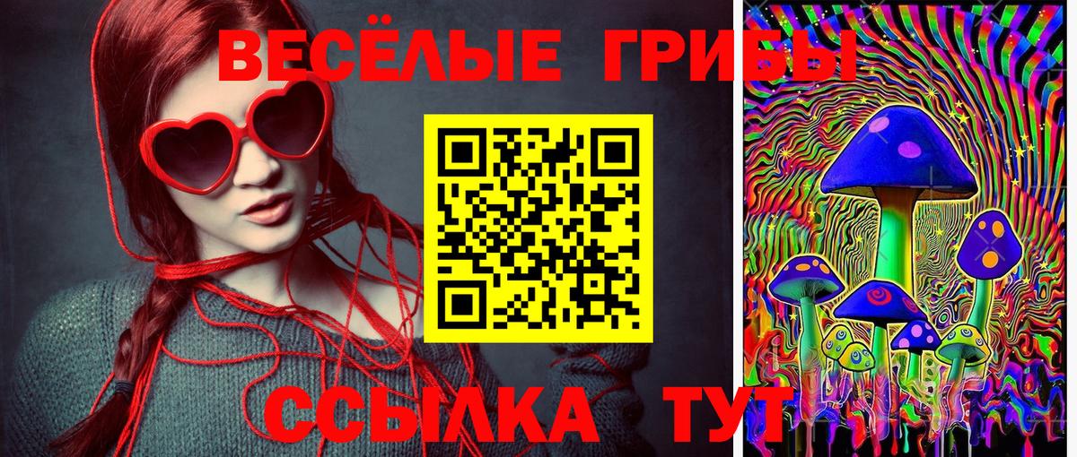 Галлюциногенные грибы мицелий  Вход с VPN  Шахты 