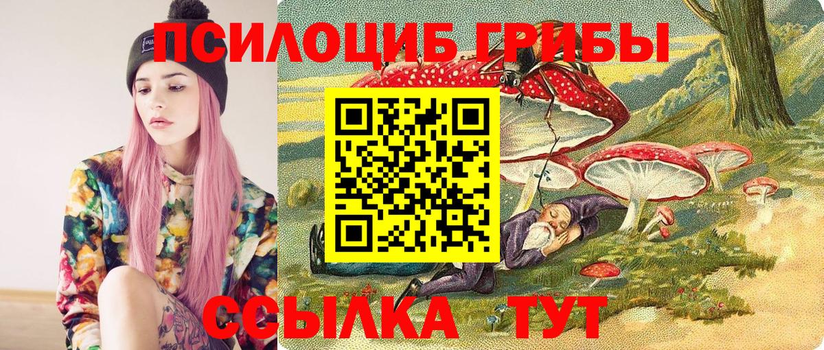 Псилоцибиновые грибы прущие грибы Шахты